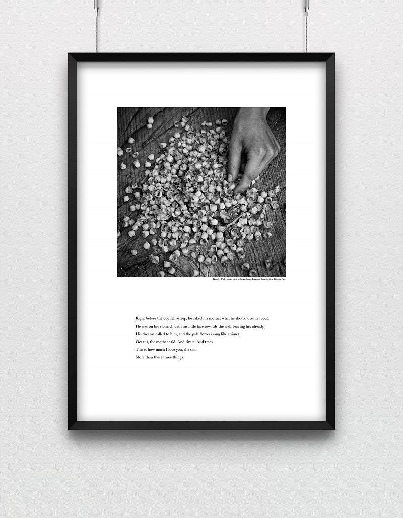 Stop Here Week 1 Poster