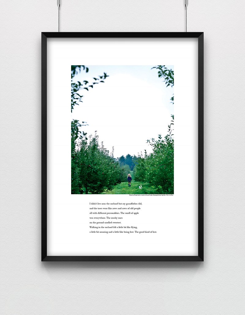 Stop Here Week 5 Poster