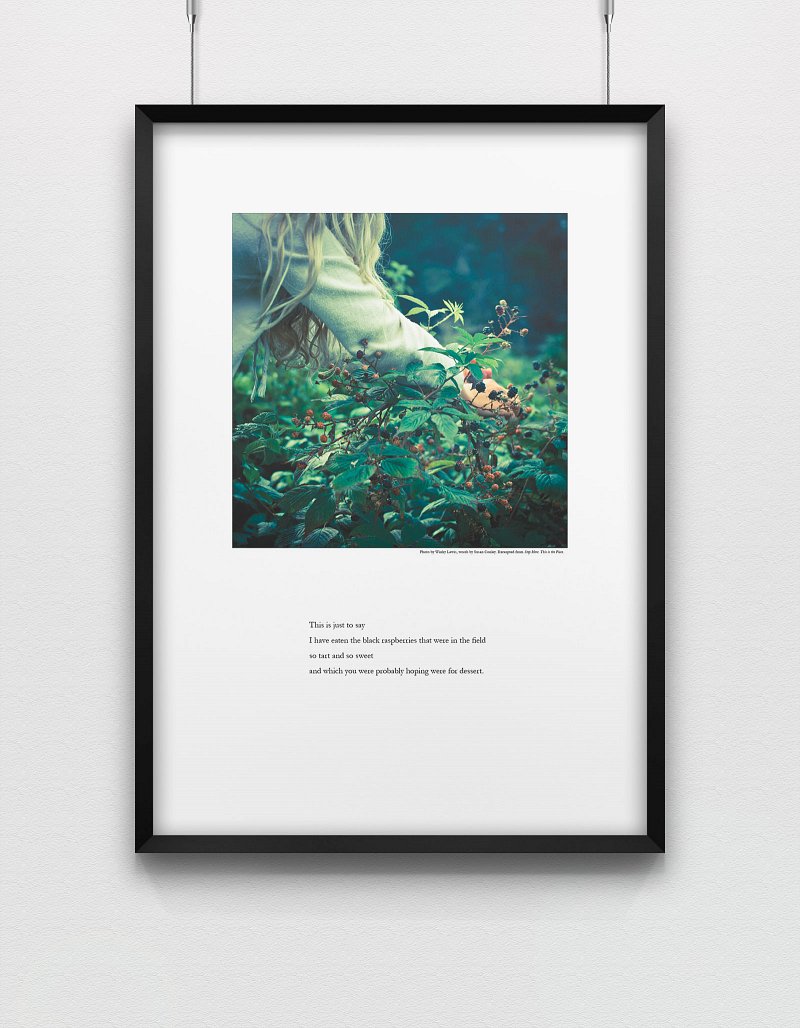 Stop Here Week 6 Poster